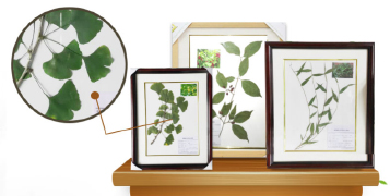 鍋爐-螺紋管-翅片管「新鄉(xiāng)市新能機械有限公司」